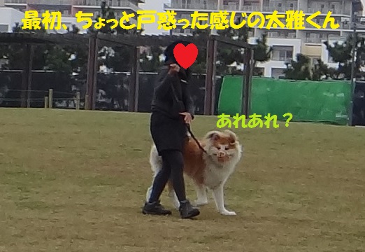 f0121712_16165348.jpg