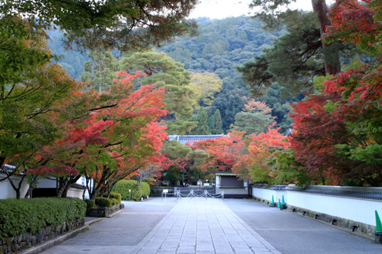 14紅葉めぐり14 永観堂_e0048413_21211122.jpg