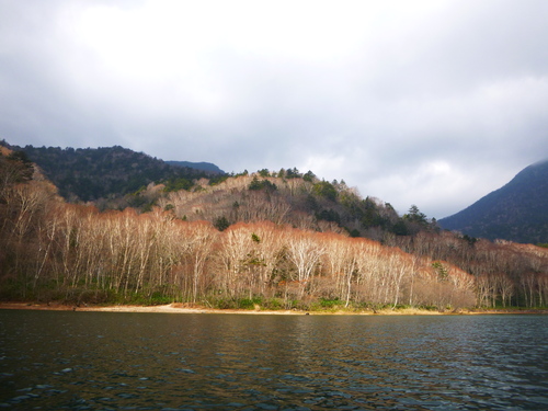 a0236914_17244967.jpg