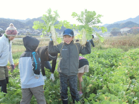 腹肉１キロ増の内訳。_d0122515_16212137.jpg