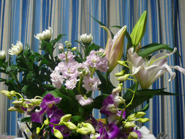 e0026017_2348281.jpg