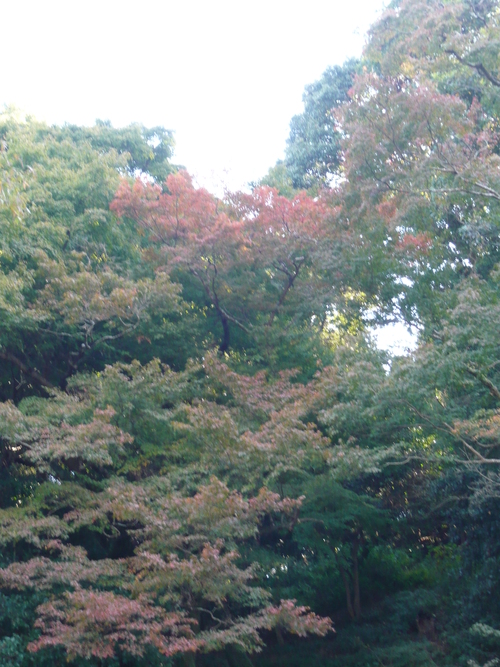 a0238019_21103057.jpg