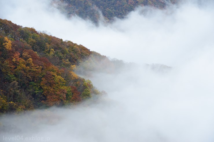 秩父 大血川渓谷 ～紅葉～_d0319222_9183812.jpg