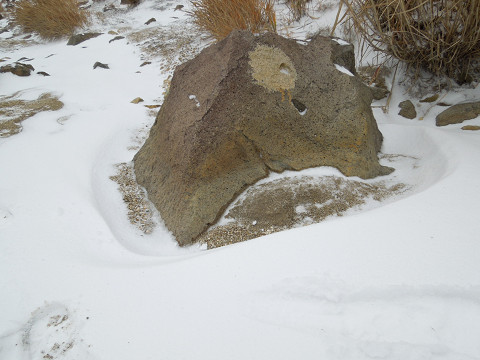 初冠雪の久住山_b0010125_022562.jpg