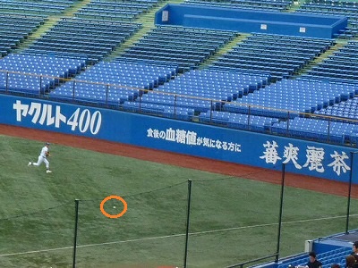 b0166128_1316435.jpg