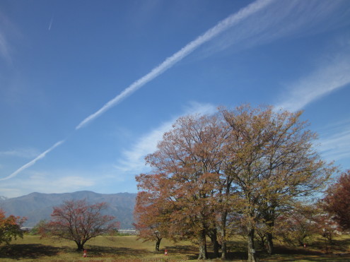a0291132_11144417.jpg