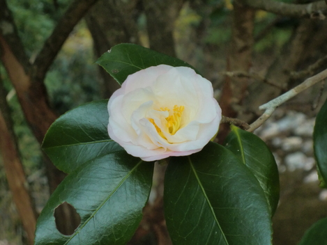 c0236632_8243079.jpg