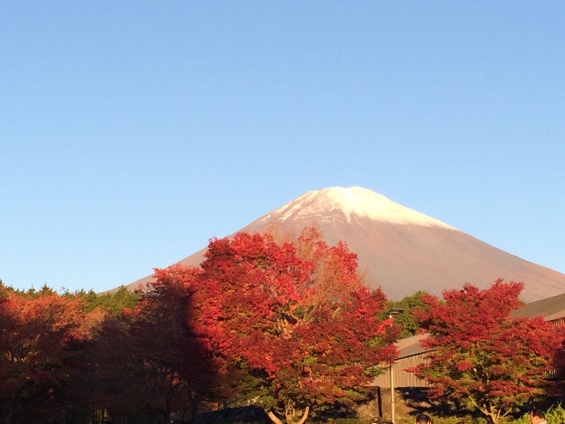 富士山を見にきました、_d0085634_07354692.jpg