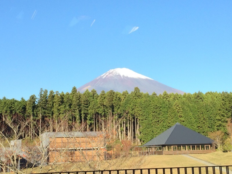 富士山を見にきました、_d0085634_07372145.jpg