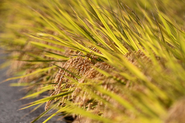 a0242438_1946099.jpg