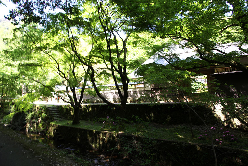 2014年　出雲の旅-10♪　鰐淵寺-1♪_d0058941_2047359.jpg