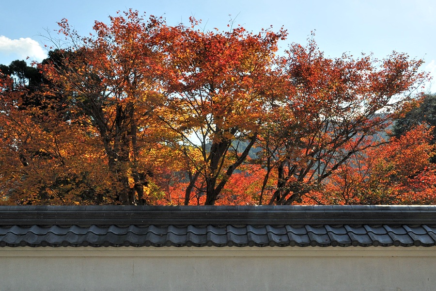 円通寺紅葉２０１４_d0148541_211068.jpg