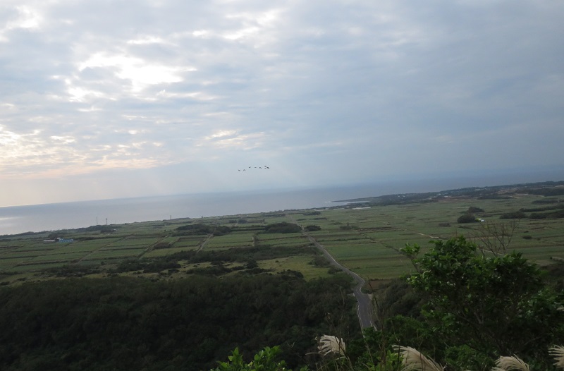 b0288942_1040245.jpg