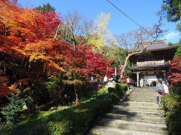 洞光寺の紅葉見事でした_b0299042_21252154.jpg