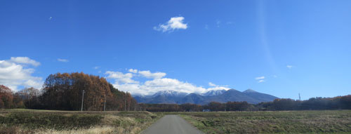 ケヤキの剪定見学 in　原村_c0089242_11410541.jpg