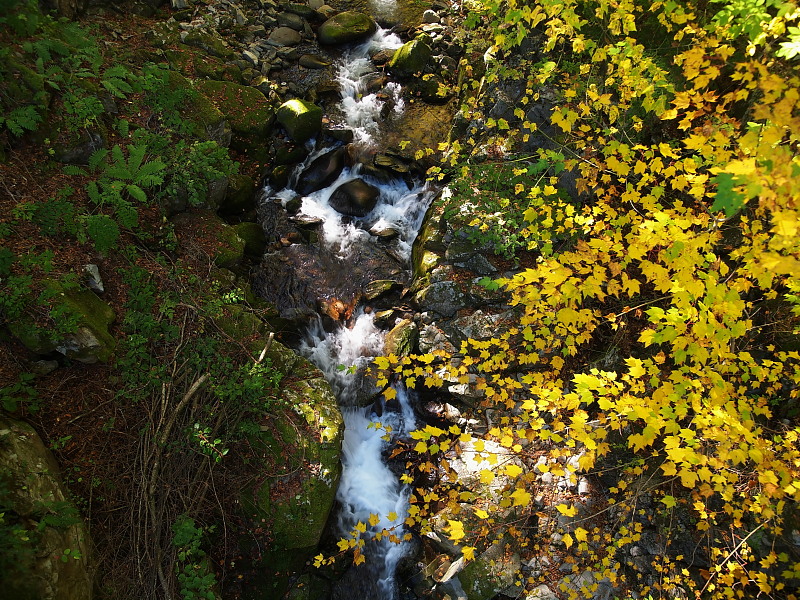 a0106043_028555.jpg