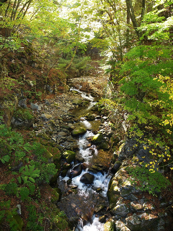 a0106043_0453485.jpg