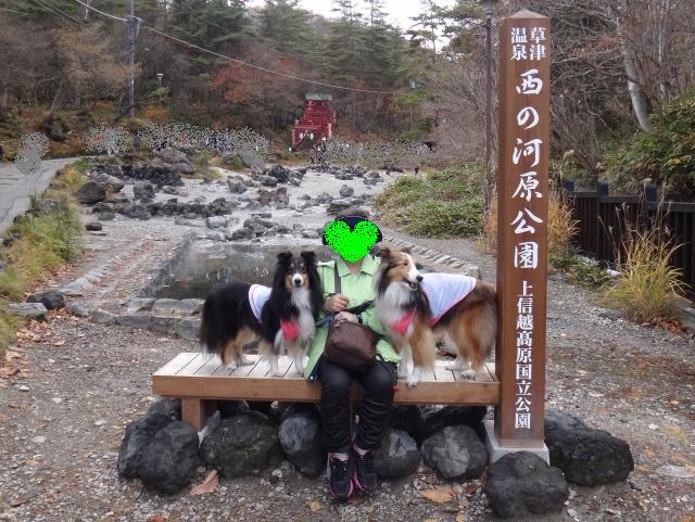 草津温泉・西の川原公園お散歩_e0195743_13245997.jpg