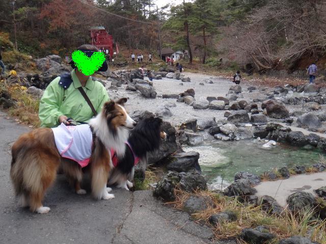 草津温泉・西の川原公園お散歩_e0195743_13265934.jpg