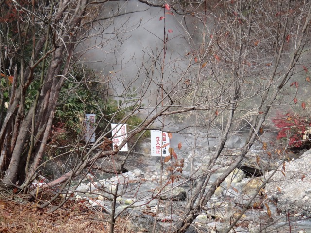 草津温泉・西の川原公園お散歩_e0195743_13292467.jpg