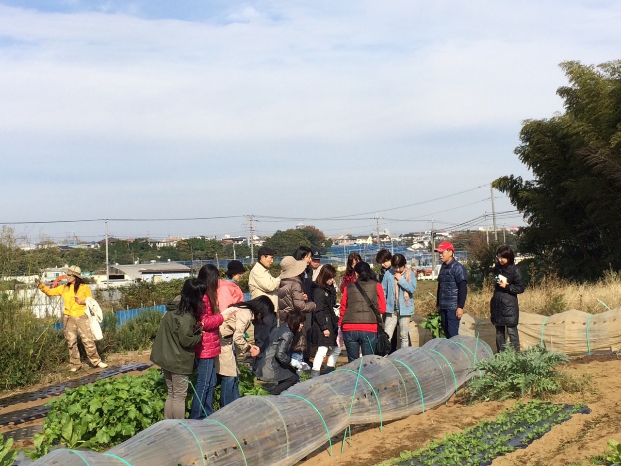今朝は１６名様　野菜ソムリエ神奈川支部　様ご一行が　いらっしゃいました_c0222448_20313549.jpg