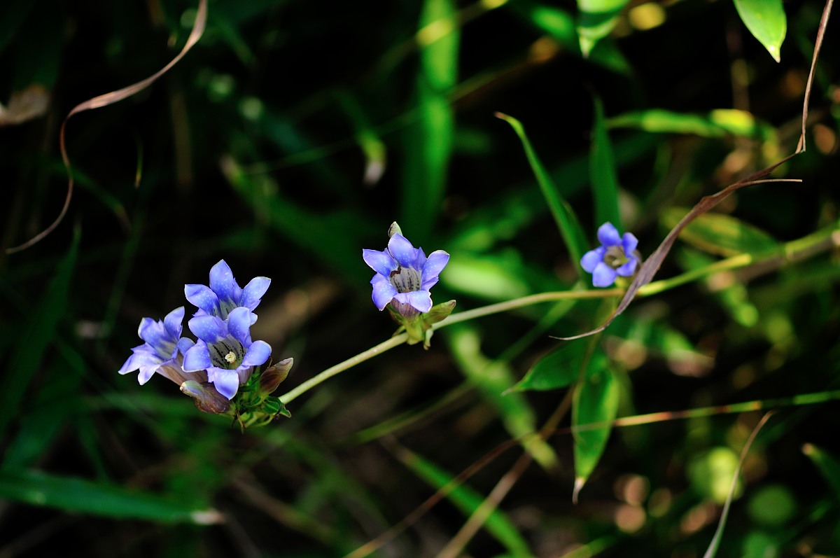 f0224648_15213192.jpg