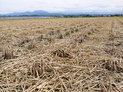 砂田米　来年も美味しいお米を育てるために！その１：冬の耕運作業 _a0254656_17422710.jpg