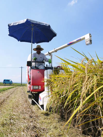 砂田米　来年も美味しいお米を育てるために！その１：冬の耕運作業 _a0254656_1755035.jpg