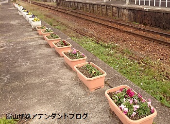 花ぷらっと★釜ヶ淵駅_a0243562_13003532.jpg