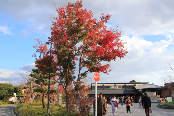 嵐山 紅葉_d0202264_8484121.jpg