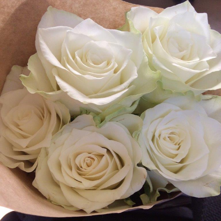 a0123465_01321560.jpg