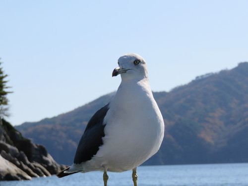 徒然なる一人旅♪_f0032766_19163260.jpg