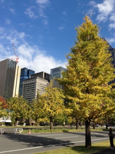c0331973_10294093.jpg
