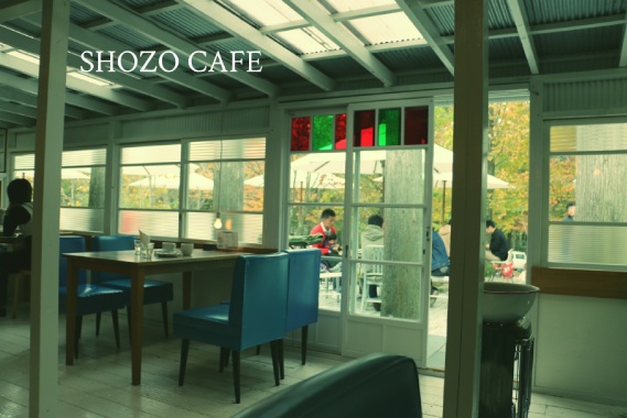 秋の那須・日光旅 * SHOZO CAFE_b0239176_17382266.jpg