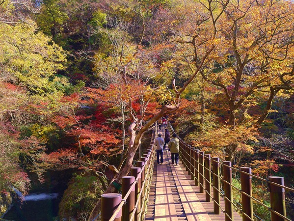 花貫渓谷の紅葉 はぎまろブログ