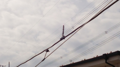 c0064678_1352135.jpg