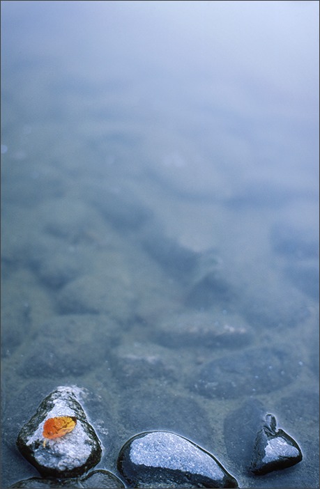 初フィルムカメラ_a0161380_0221850.jpg