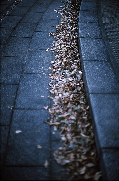 初フィルムカメラ_a0161380_0245319.jpg