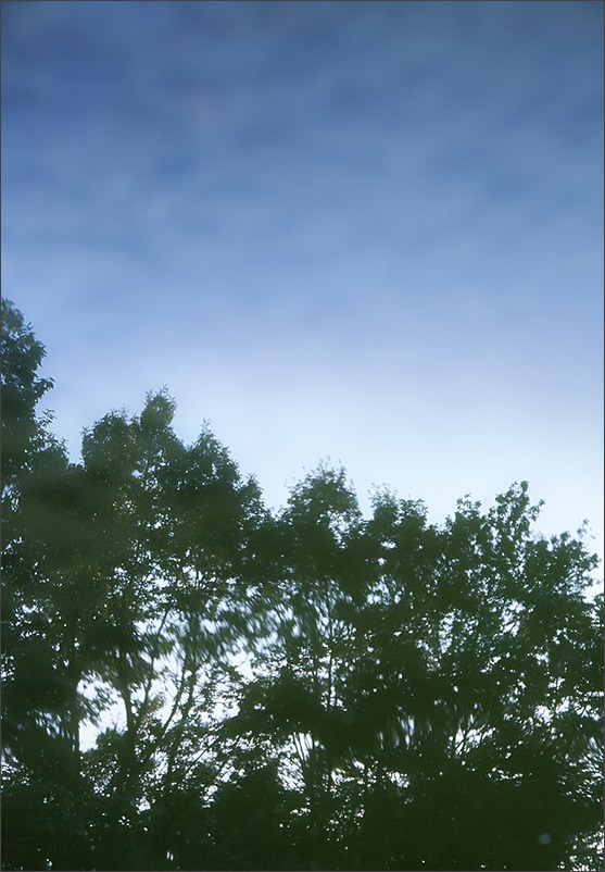 初フィルムカメラ_a0161380_0331012.jpg
