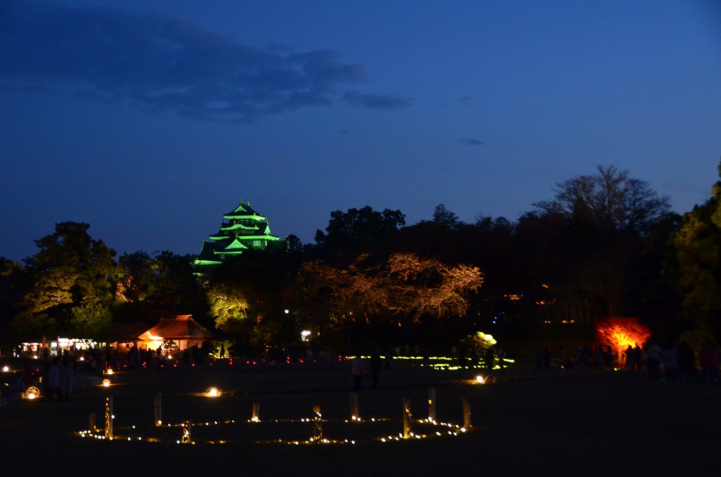 2014年11月16日　【秋の幻想庭園　最終日】_a0185880_1694097.jpg