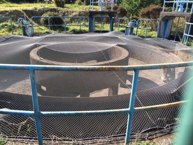 e0094589_03451137.jpg