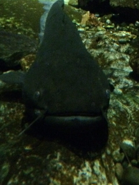 e0094589_03595602.jpg