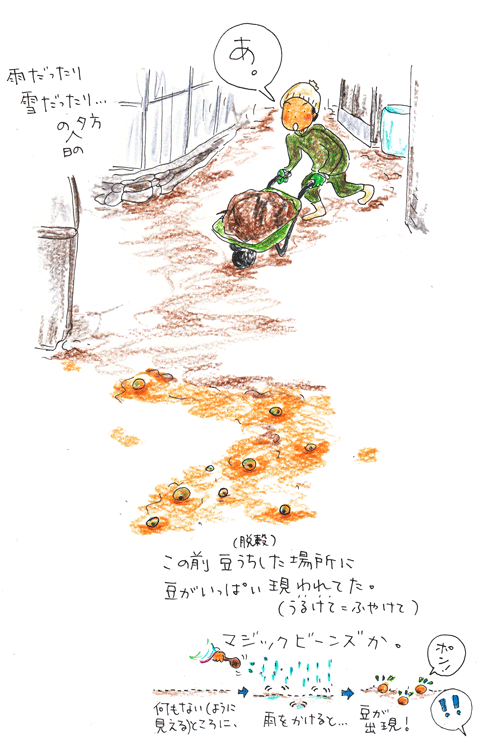 f0236291_621112.gif