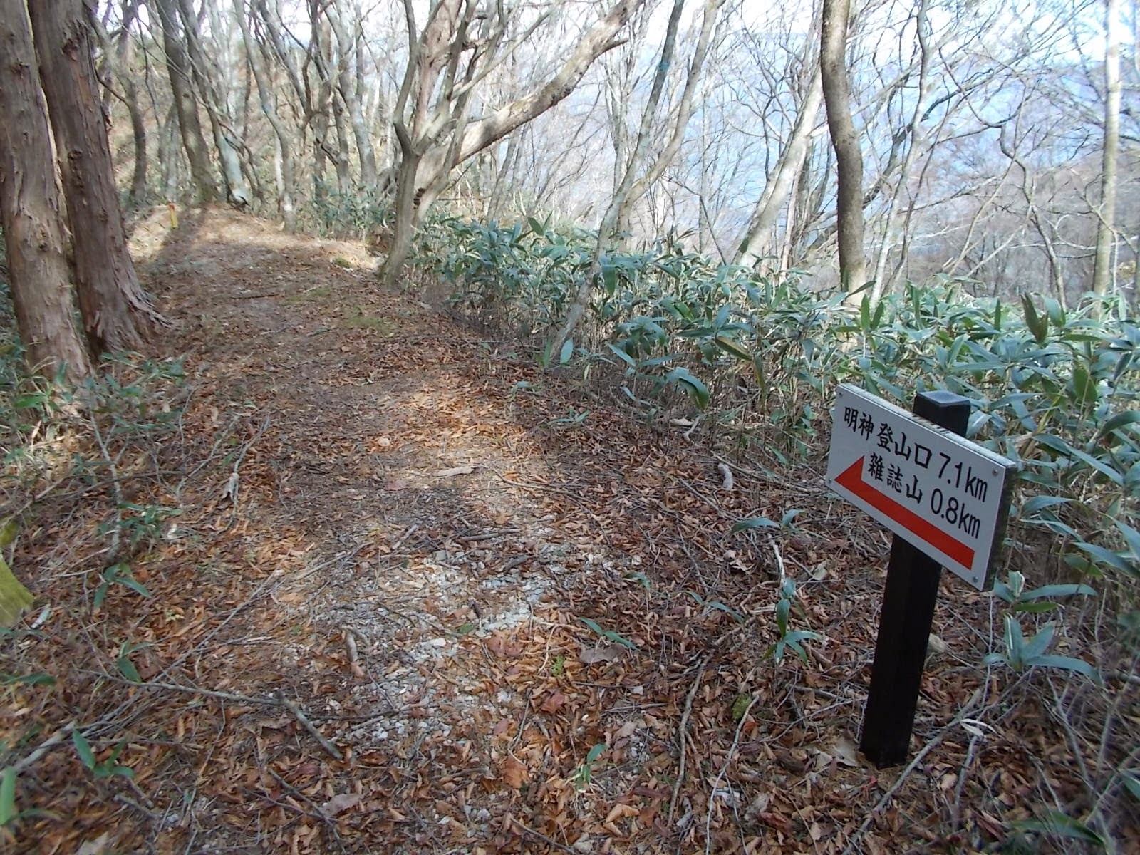f0308898_914124.jpg