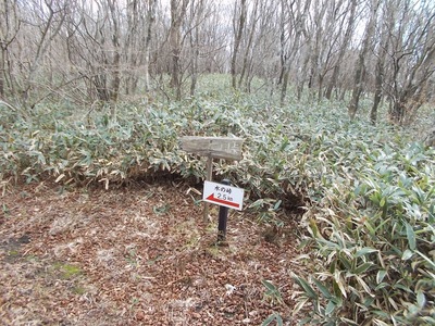 f0308898_922864.jpg