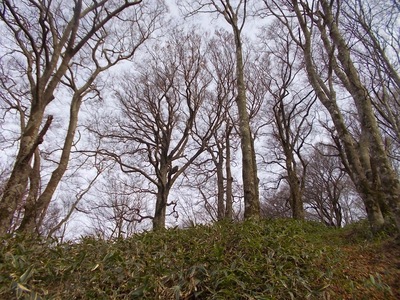 f0308898_923619.jpg
