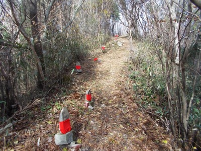 雑誌山(仁淀川町)_f0308898_9243486.jpg