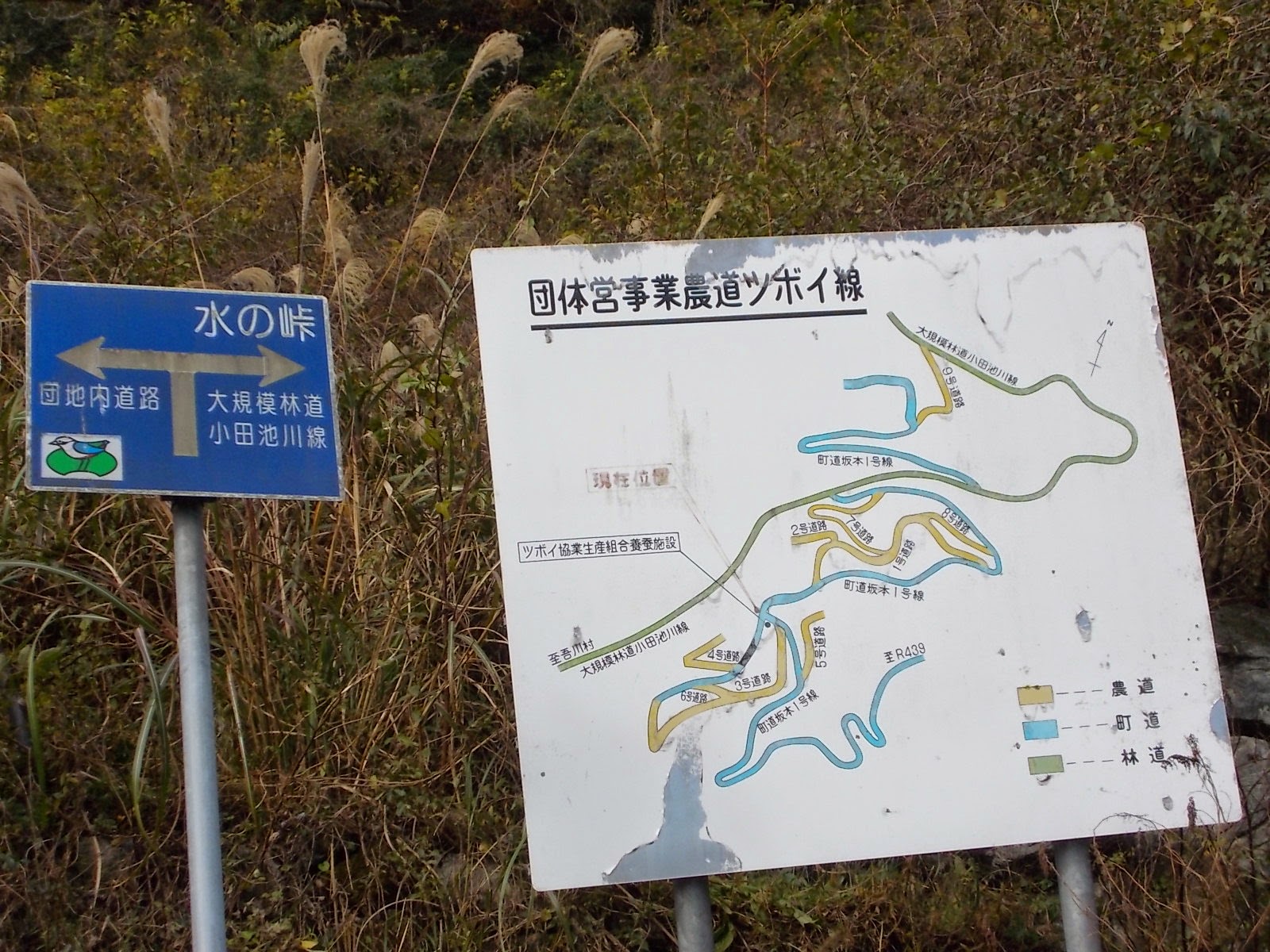 f0308898_961864.jpg