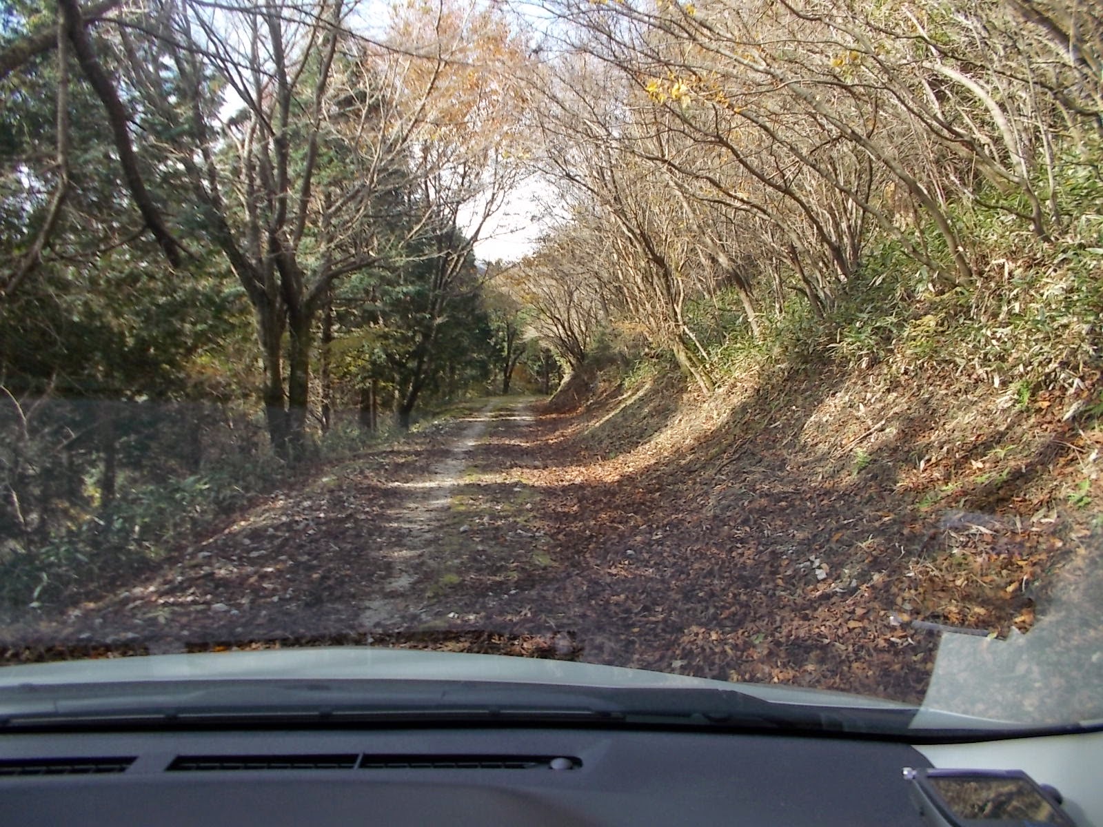 雑誌山(仁淀川町)_f0308898_97670.jpg