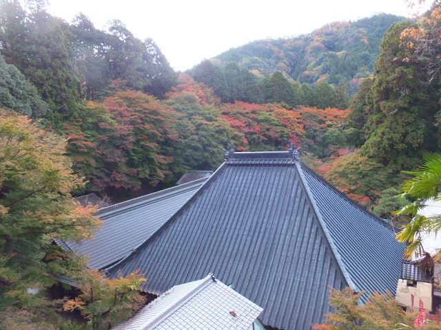 香積寺と飯盛山　～香嵐渓～_a0271502_1534274.jpg